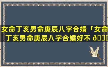 女命丁亥男命庚辰八字合婚「女命丁亥男命庚辰八字合婚好不 🐝 好」